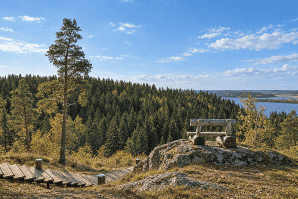 Карельский уик-энд — город викингов и гора Паасо