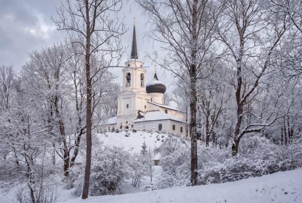Зимнее путешествие в Пушкинские горы на 2 дня — Михайловское, Тригорское