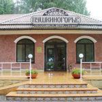 Миниатюра
